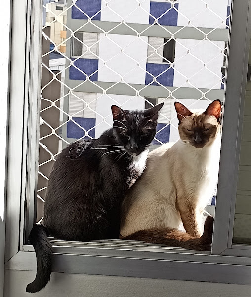 Meg Pet Shop e Clínica Veterinária