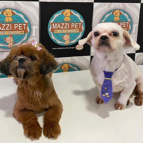 Foto 3 S2 Mazzi Pet Shop