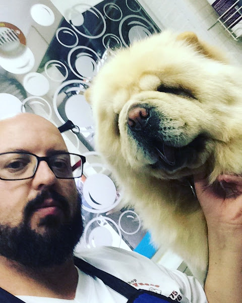 Foto 2 Pet Shop Patas e Fuças