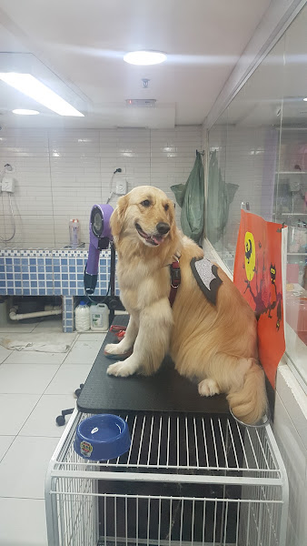 Foto 1 Pet Show Shopping Penha