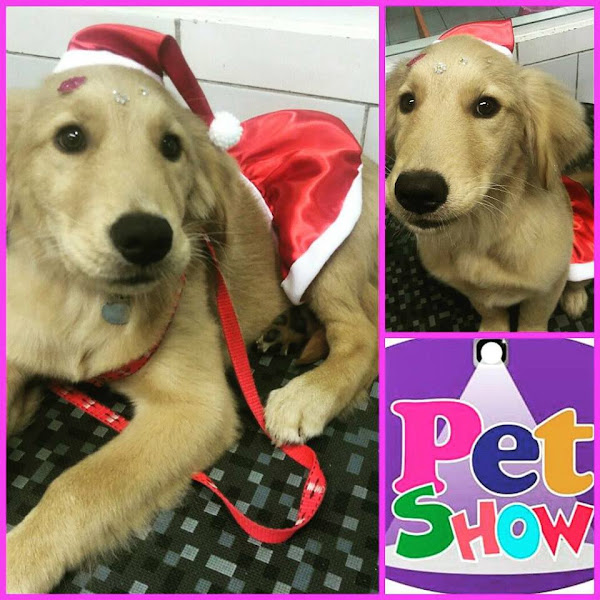 Foto 3 Pet Show Shopping Penha