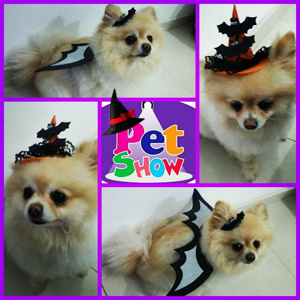 Foto 5 Pet Show Shopping Penha Foto 5 Pet Show Shopping Penha