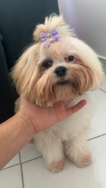 Foto 2 Carol Pet Shop