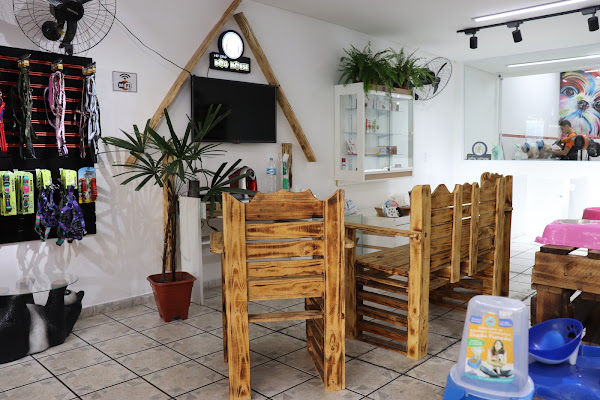 Foto 6 Pet Shop Dog House Foto 6 Pet Shop Dog House