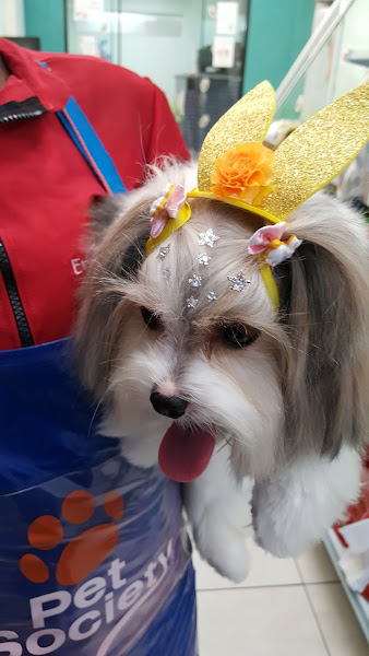 Foto 2 Encrenquinha's Pet Shop - Unidade Jd. América