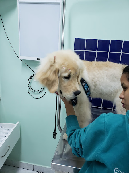 Foto 3 Encrenquinha's Pet Shop - Unidade Jd. América