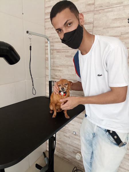 Foto 3 Pet Shop Happy Dog