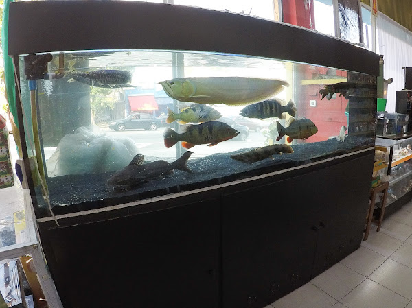 Foto 3 Mahoo Pet Shop