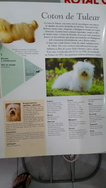 Foto 5 Mahoo Pet Shop