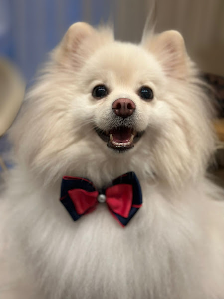 Foto 1 Fiel e Felino Pet Shop/Skincare Vet