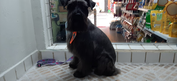 Foto 3 Bacana Petshop