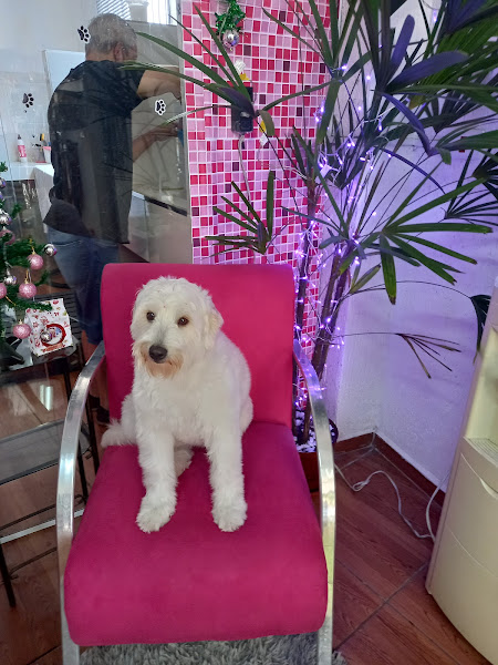 Foto 1 To Pets - Pet Shop