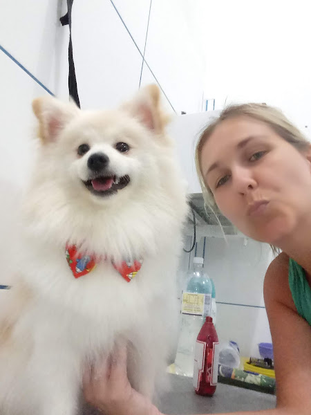 Foto 1 Pet Shop Nick