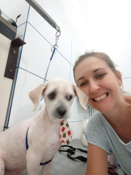 Foto 3 Pet Shop Nick