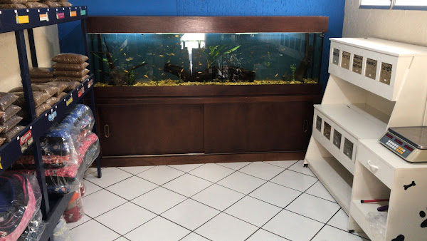 Foto 4 Petshop Pai e Filho