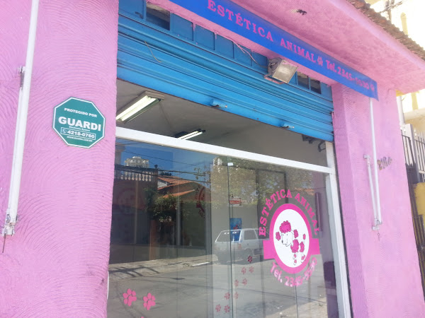 Estética Animal
