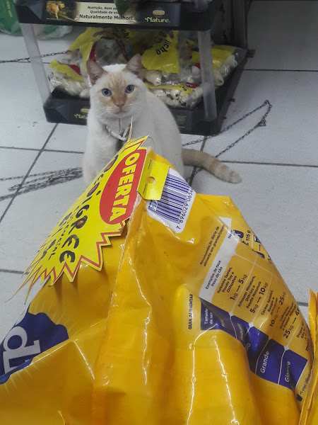 Foto 6 Mr. Pinsher Pet Shop