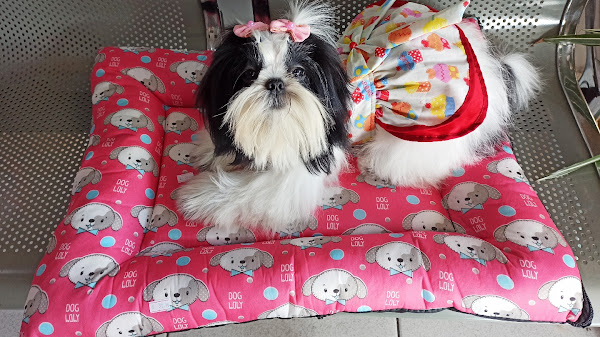 Foto 1 Pet Shop Sabará