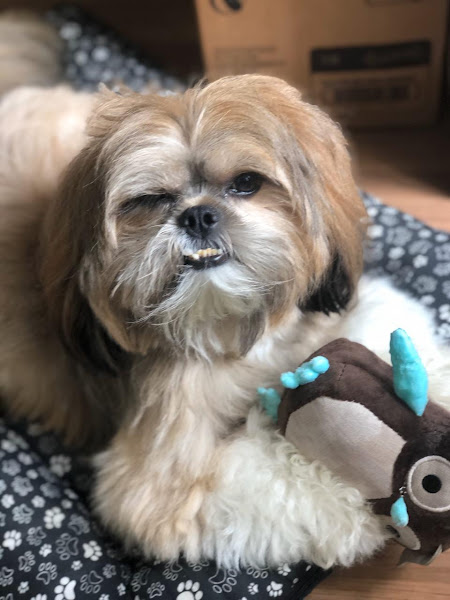 Foto 3 Pet Shop Sabará