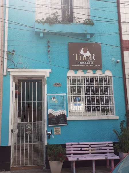 Foto 4 Thor Pet Shop / Centro Veterinário Foto 4 Thor Pet Shop / Centro Veterinário