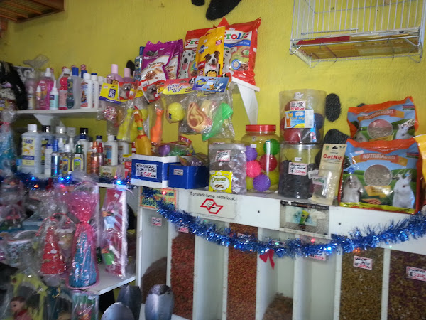 Foto 1 Big Cão Pet Shop Foto 1 Big Cão Pet Shop