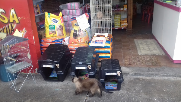 Foto 1 PET SHOP RAIO DE SOL