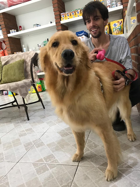 Foto 2 Bilu Pet e Daycare