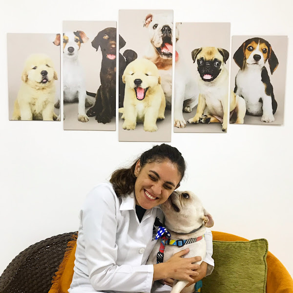 Foto 4 Bilu Pet e Daycare