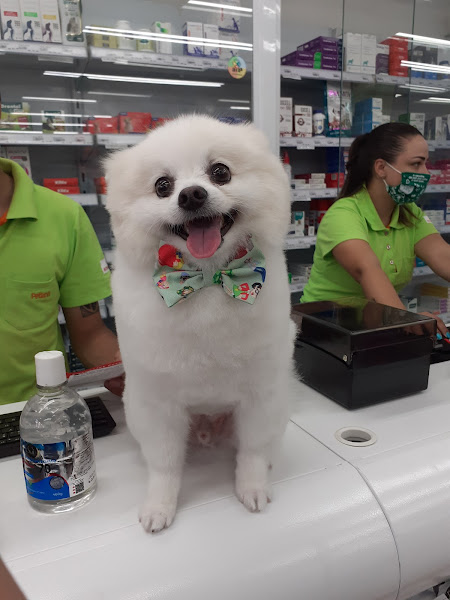 Foto 1 Petland - Mooca