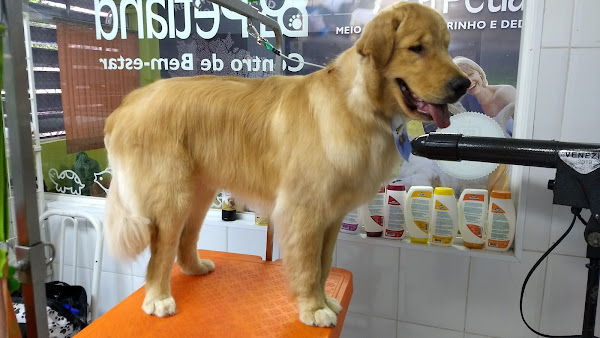 Foto 2 Petland - Mooca