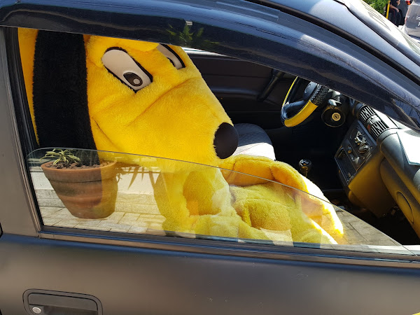 Foto 2 Marcão Pet Shop