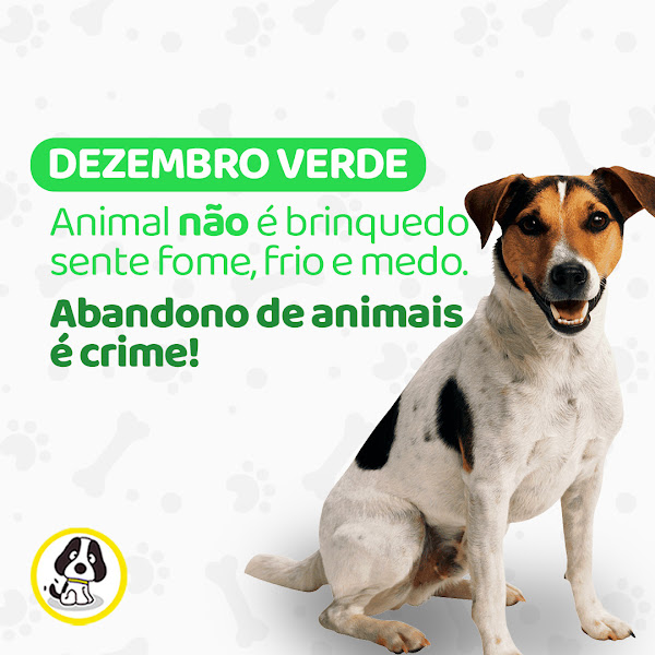 Foto 3 Marcão Pet Shop