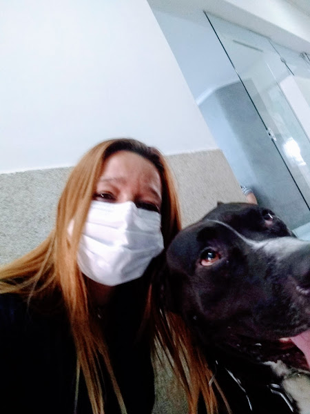 Foto 4 Pet Shop É O Bicho