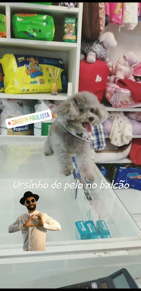 Foto 2 Pet Broadway Foto 2 Pet Broadway