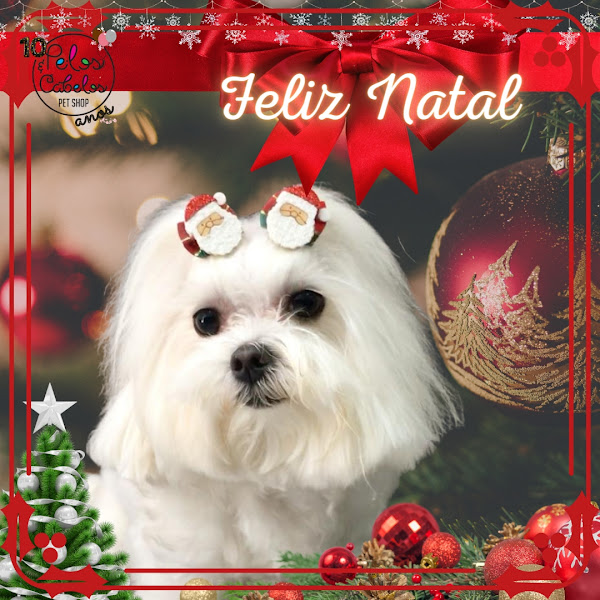 Foto 0 Pet Shop Pelos & Cabelos