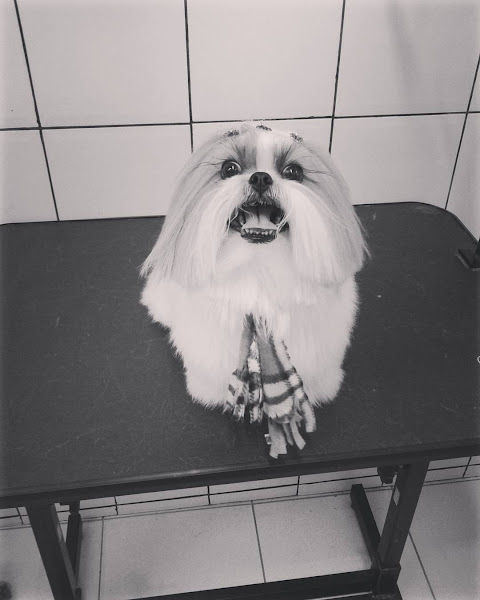 Foto 1 Pet Shop Pelos & Cabelos