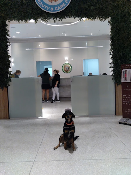 Crystal Pet Spa e Boutique