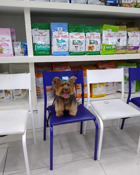 Foto 1 Crystal Pet Spa e Boutique