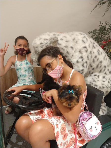 Foto 2 Crystal Pet Spa e Boutique