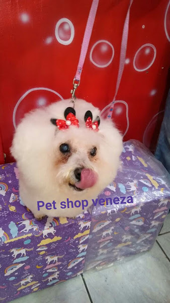 Foto 1 PET SHOP VENEZA