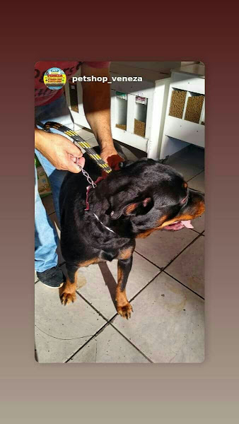 Foto 2 PET SHOP VENEZA