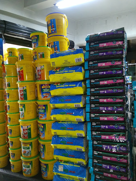 Foto 1 Pet Patão Shop