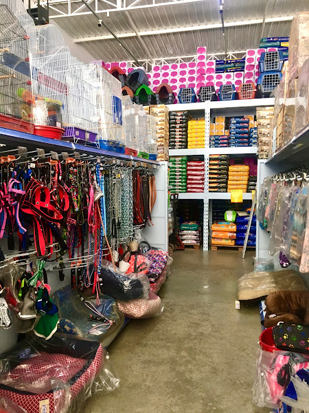 Foto 5 Pet Shop Pica Pau