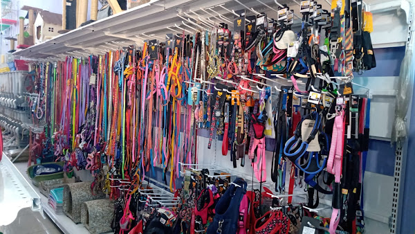 Foto 1 Pet Shop 18 Ki Late