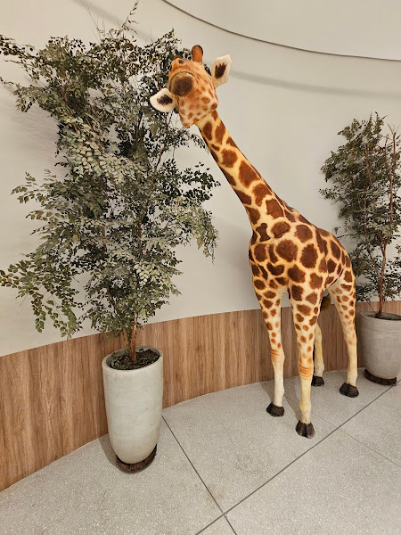 Foto 2 Crystal Pet Store