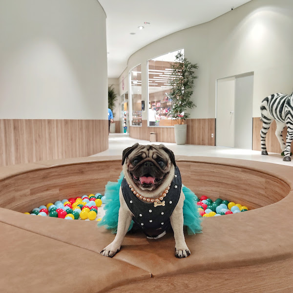 Foto 4 Crystal Pet Store