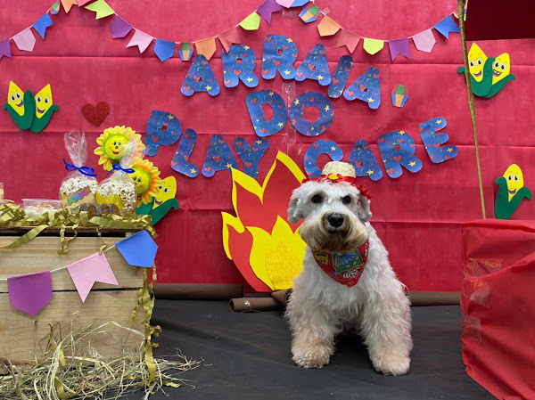 Foto 5 Crystal Pet Store