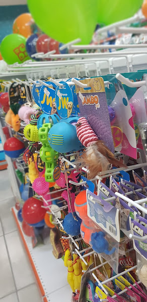 Foto 2 Petland Vila Santa Clara