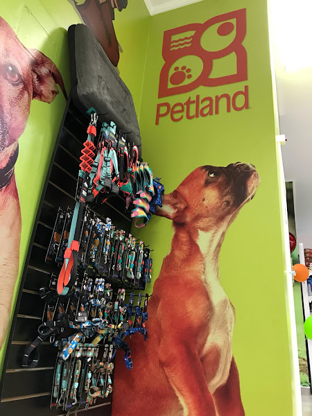 Foto 4 Petland Vila Santa Clara