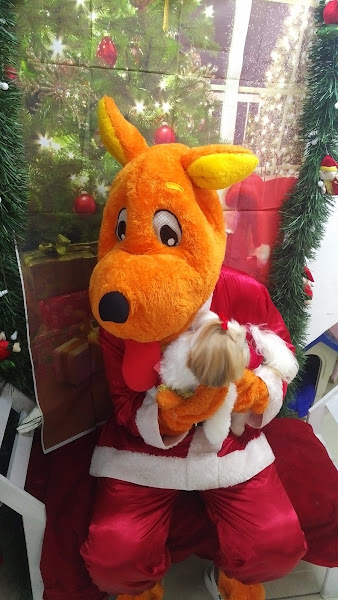 Pet Boutique By Republicão